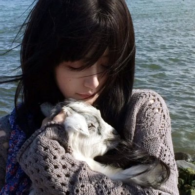 若虫：森林之歌